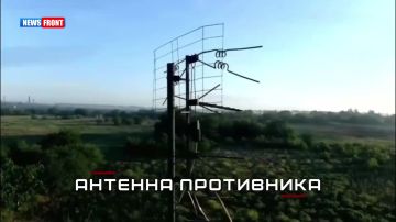 ������ ����������� ����� ������ �� ��������������� � ���������������� �������� ������