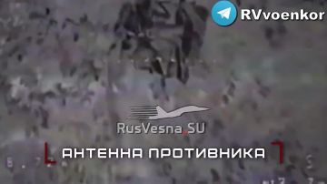 ����� ���: ����� ������� ���������� ������ � ������� ����� � ���� �� ��������������� � �� ����������������